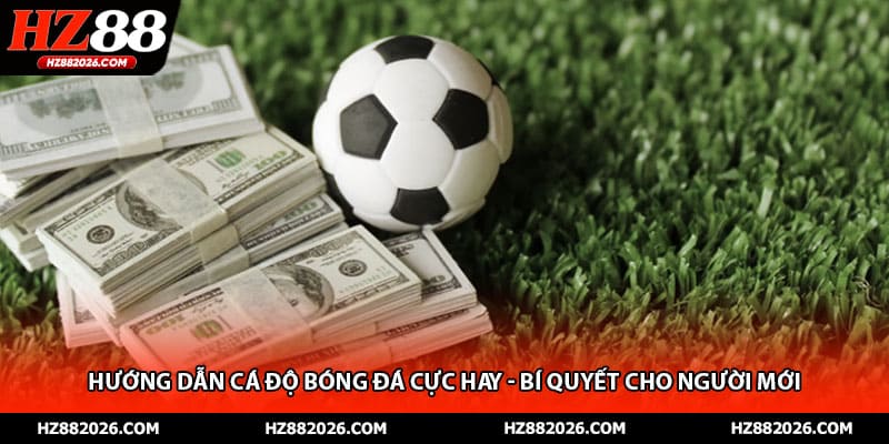 Hướng Dẫn Cá Độ Bóng Đá Cực Hay - Bí Quyết Cho Người Mới